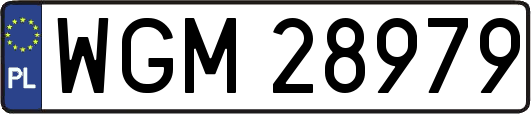 WGM28979