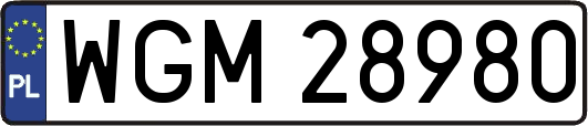 WGM28980