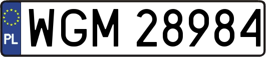 WGM28984