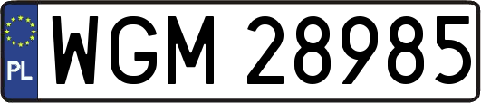 WGM28985