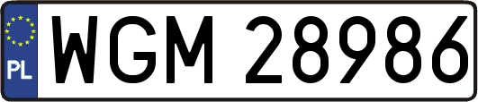 WGM28986