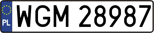 WGM28987