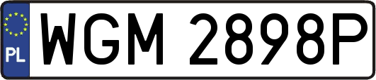 WGM2898P