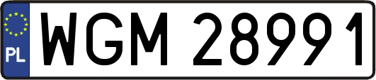 WGM28991