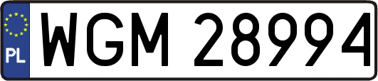 WGM28994