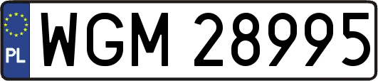 WGM28995
