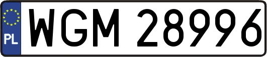 WGM28996