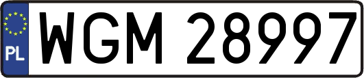WGM28997