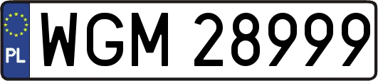WGM28999