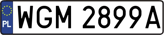 WGM2899A