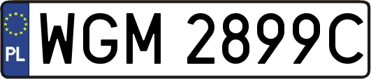 WGM2899C