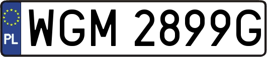 WGM2899G