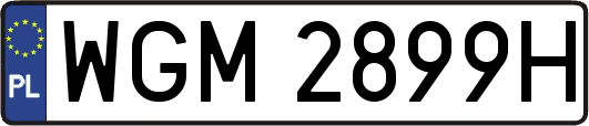 WGM2899H
