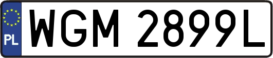 WGM2899L