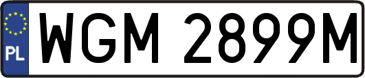 WGM2899M