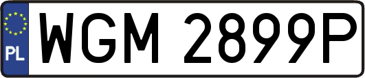 WGM2899P
