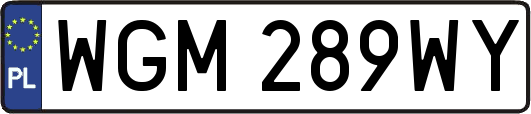WGM289WY