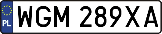 WGM289XA