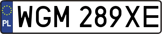 WGM289XE