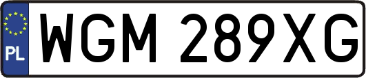 WGM289XG