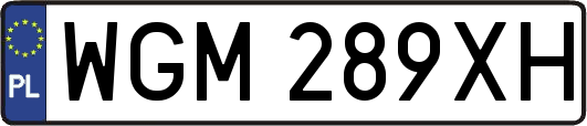 WGM289XH