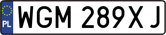 WGM289XJ