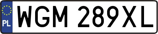 WGM289XL