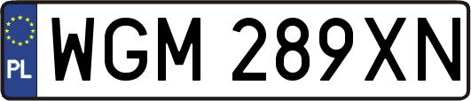 WGM289XN