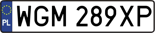 WGM289XP