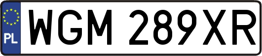 WGM289XR