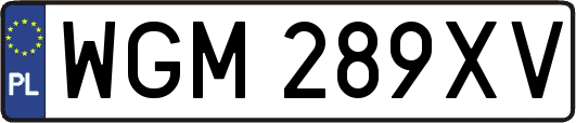 WGM289XV