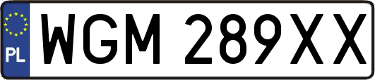 WGM289XX