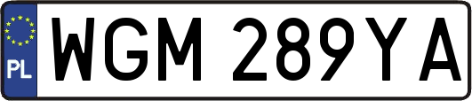 WGM289YA