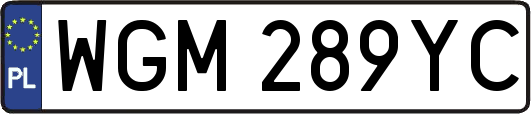 WGM289YC