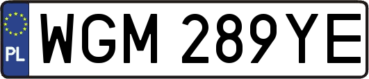 WGM289YE