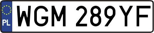 WGM289YF