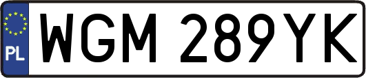 WGM289YK