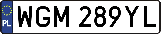 WGM289YL