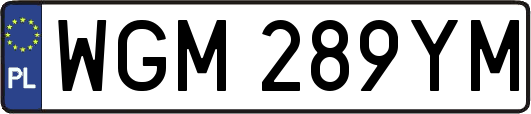 WGM289YM