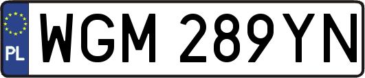 WGM289YN