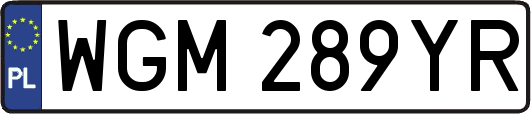 WGM289YR