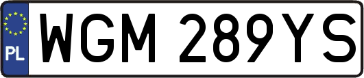WGM289YS