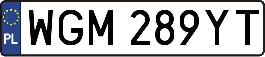 WGM289YT