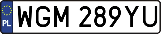 WGM289YU