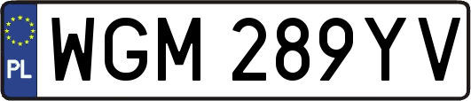 WGM289YV