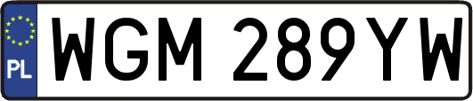 WGM289YW