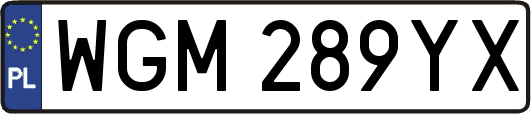 WGM289YX