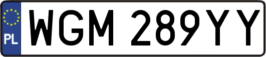 WGM289YY
