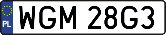 WGM28G3