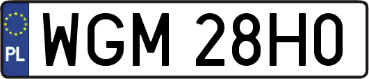 WGM28H0